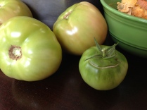 Three green tomatoes from Owl's Hollow Farm; one from my patio.
