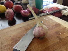 Heirloom garlic was finally available