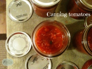 CanningTomatoes